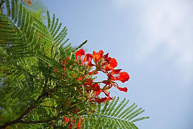 PS PLus会员十月游戏阵容公布：《心灵杀手2》等